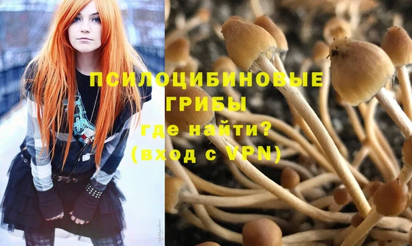 a pvp Белоозёрский