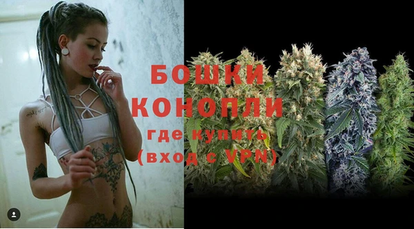 соль ск Белокуриха