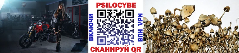 Псилоцибиновые грибы мухоморы  купить   Озёрск 